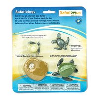 Safari ltd Life Cycle Of A Green Sea Turtle