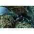 Cressi Scorfano Ultraspan Seal Speerfischerhosen 7 Mm